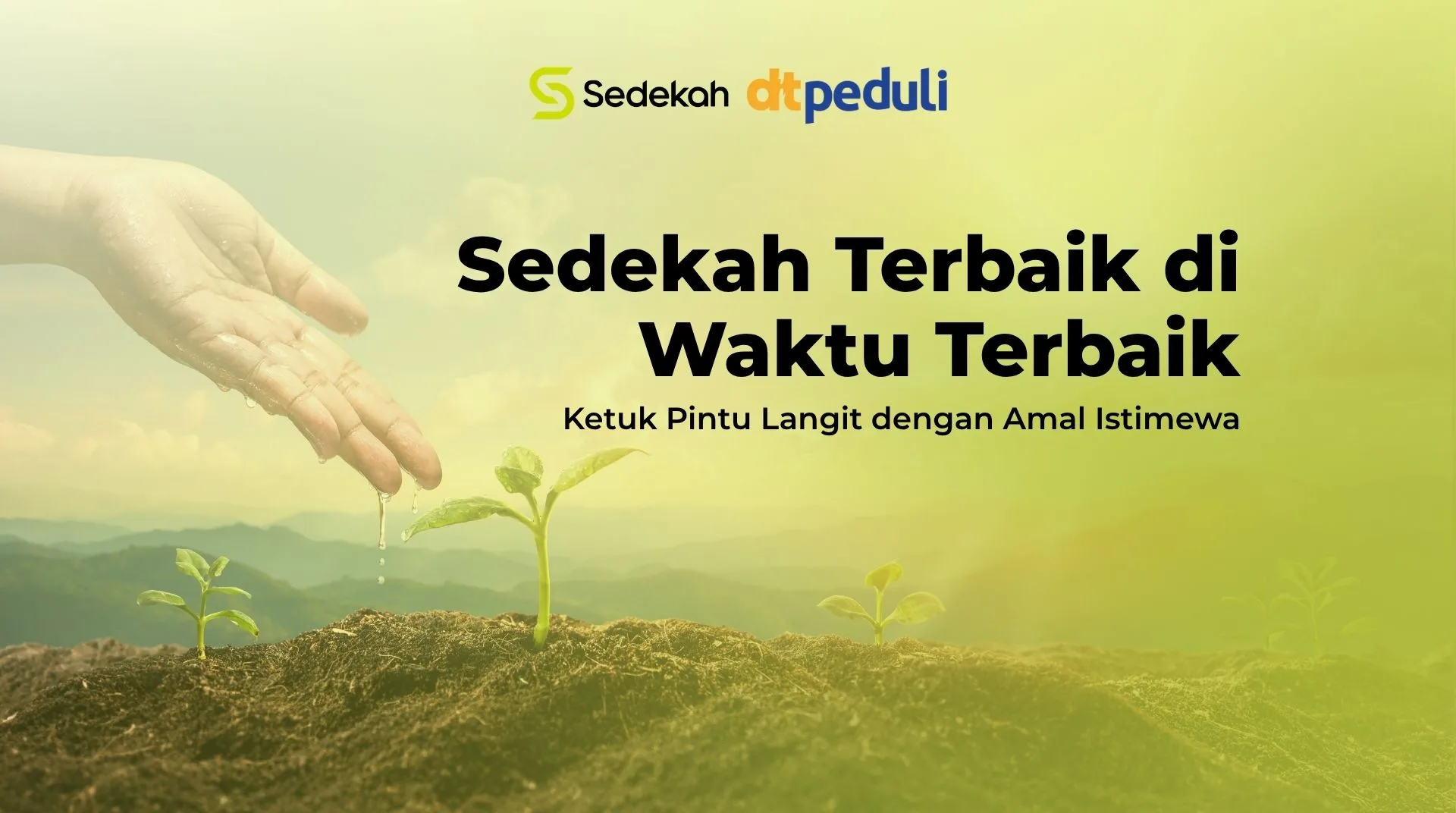 Cover Program