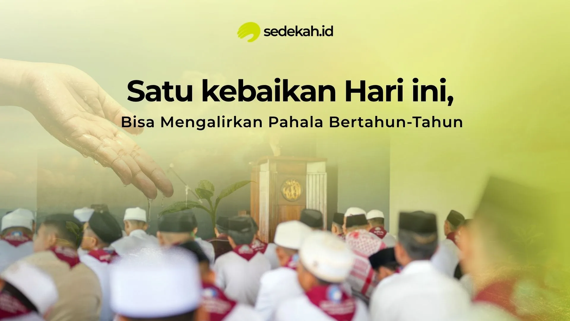 Cover Program